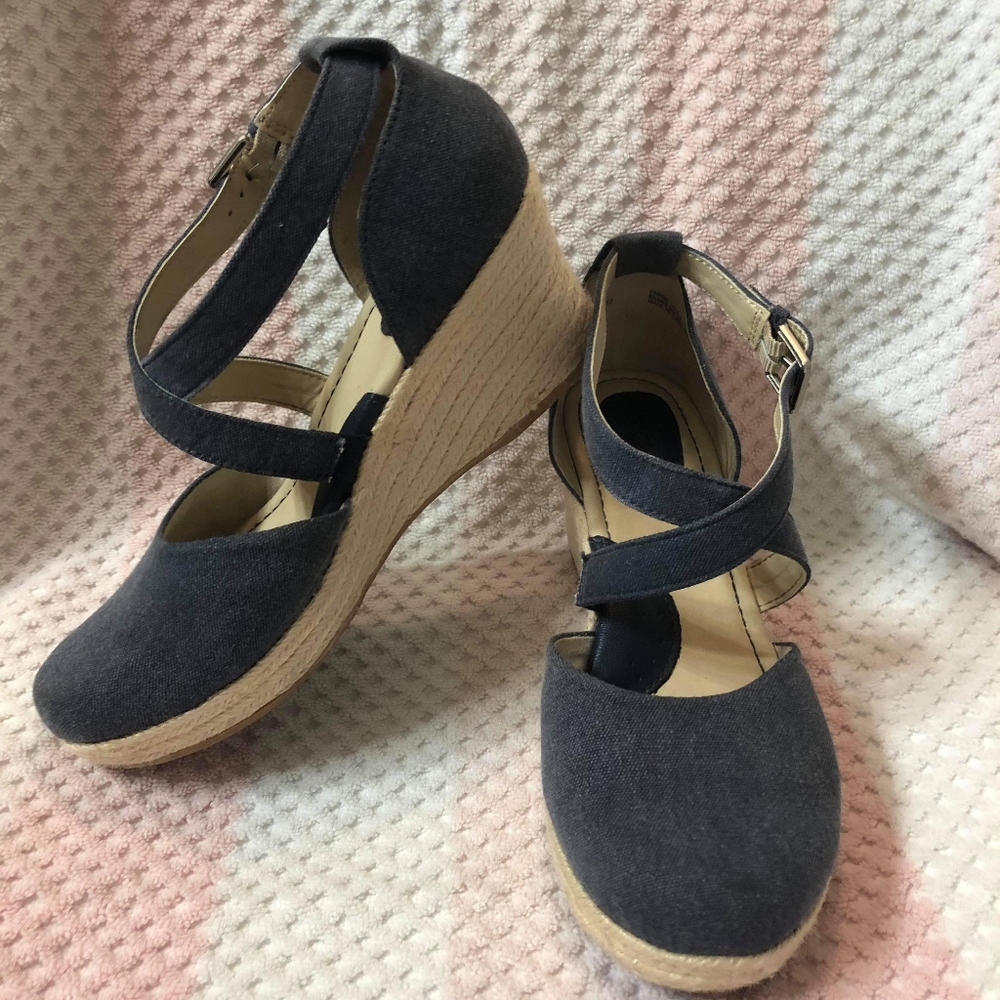 BOC Blue Cross wedges
